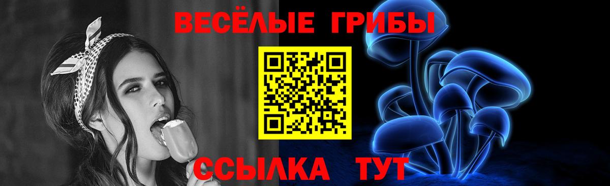 Псилоцибиновые грибы Psilocybine cubensis Переславль-Залесский